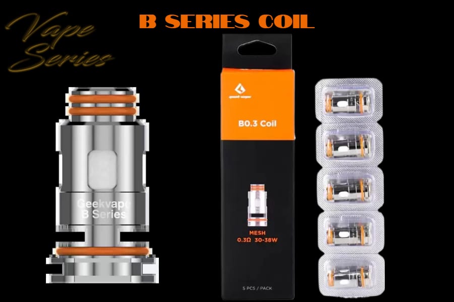 B SERIES 0.3 Ω MESH COIL 30-38W -- image 1